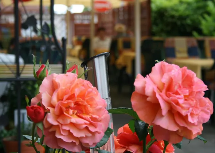 فندق Restaurant Haus Odendahl