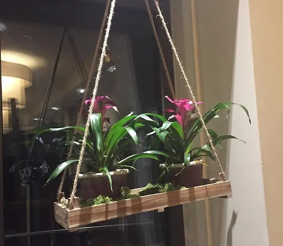 Restaurant Haus Odendahl فندق