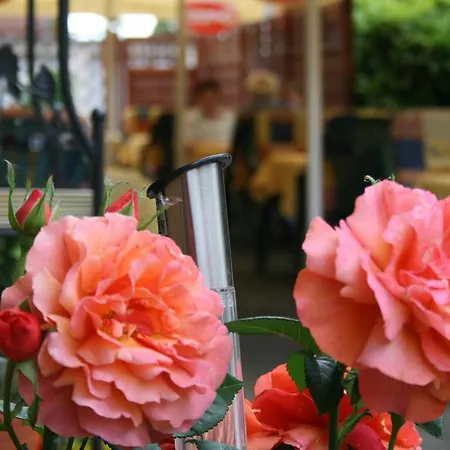 酒店 Restaurant Haus Odendahl